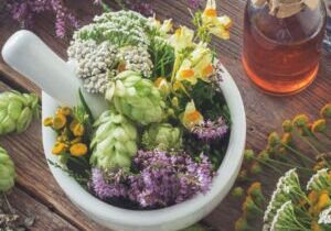  top herbs for pcos